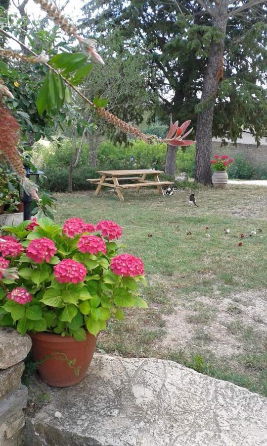 Monolocale Stiacce Apartman Saturnia Kültér fotó