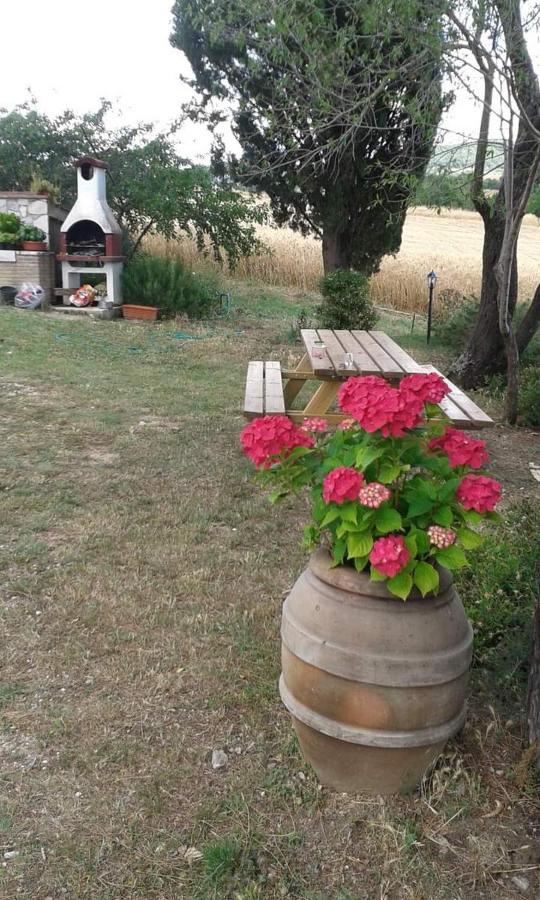 Monolocale Stiacce Apartman Saturnia Kültér fotó