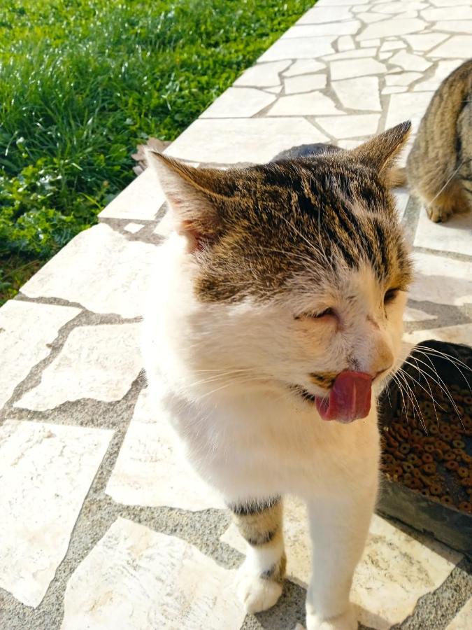 Monolocale Stiacce Apartman Saturnia Kültér fotó
